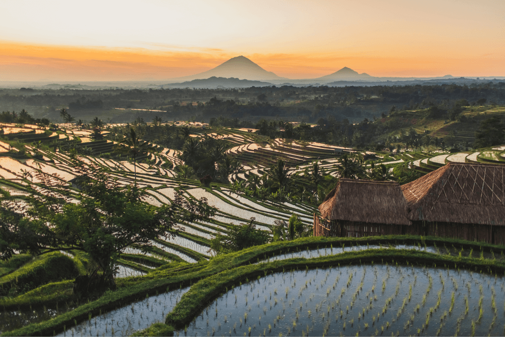 TRANQUILITY BALI AMBIENCE01