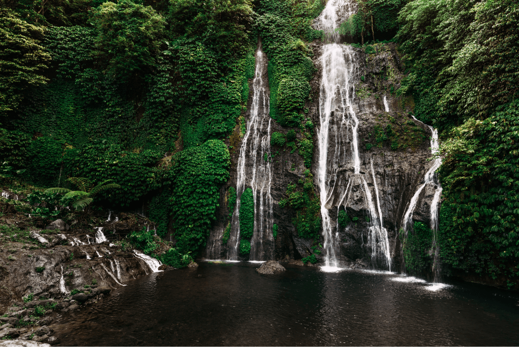 TRANQUILITY BALI AMBIENCE03